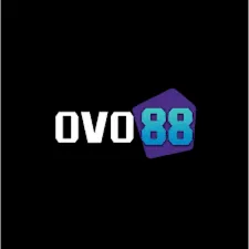 OVO88 - Permainan Gaple Seru dan Menyenangkan